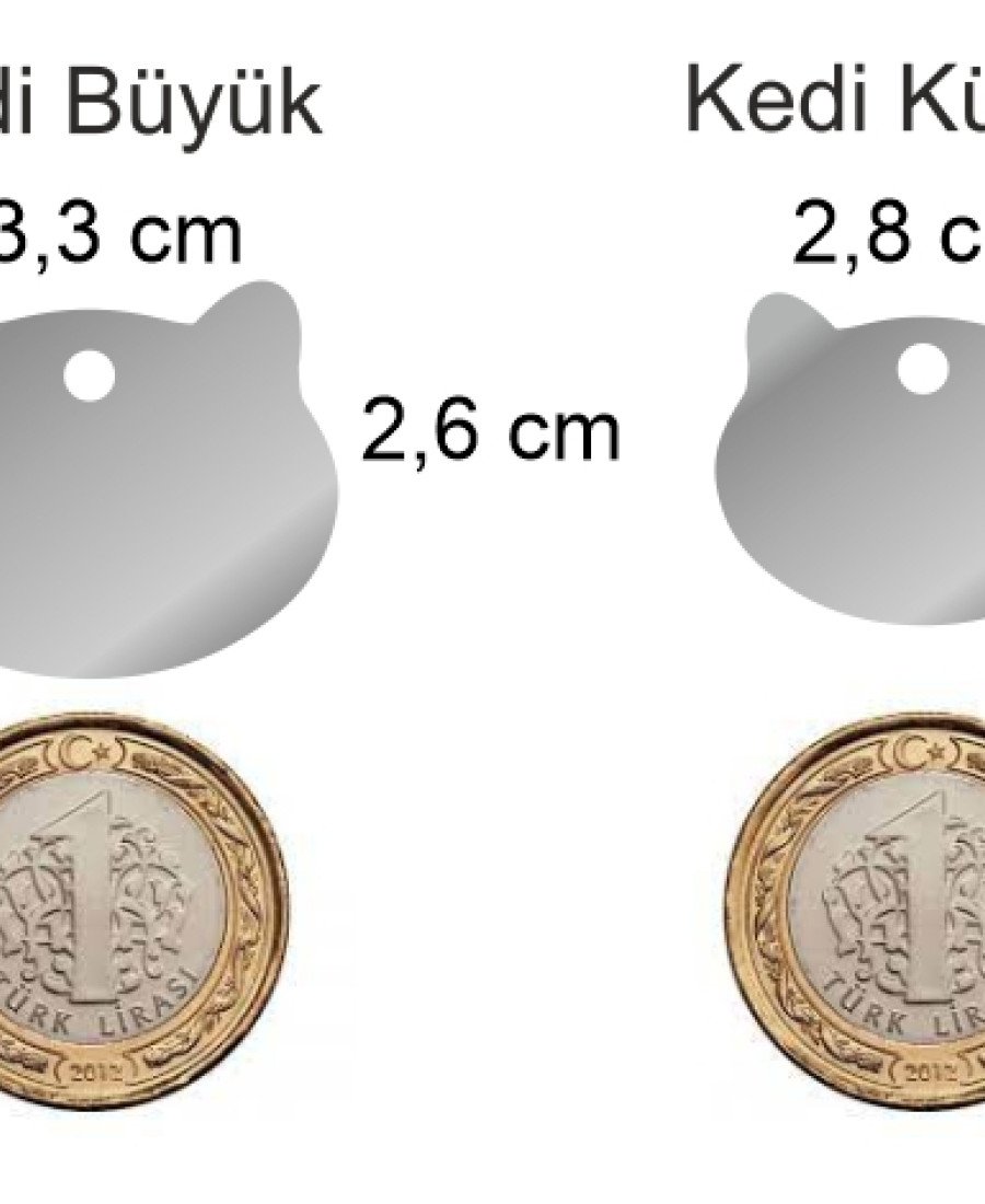 Metal Kedi Künyesi Paslanmaz Çelik 02