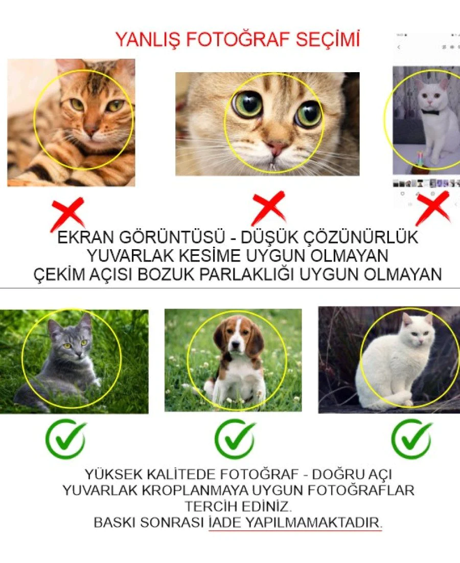 Fotoğraflı 8mm MDF Ahşap Mama Kabı Fotoğraflı 8mm MDF Ahşap Mama Kabı