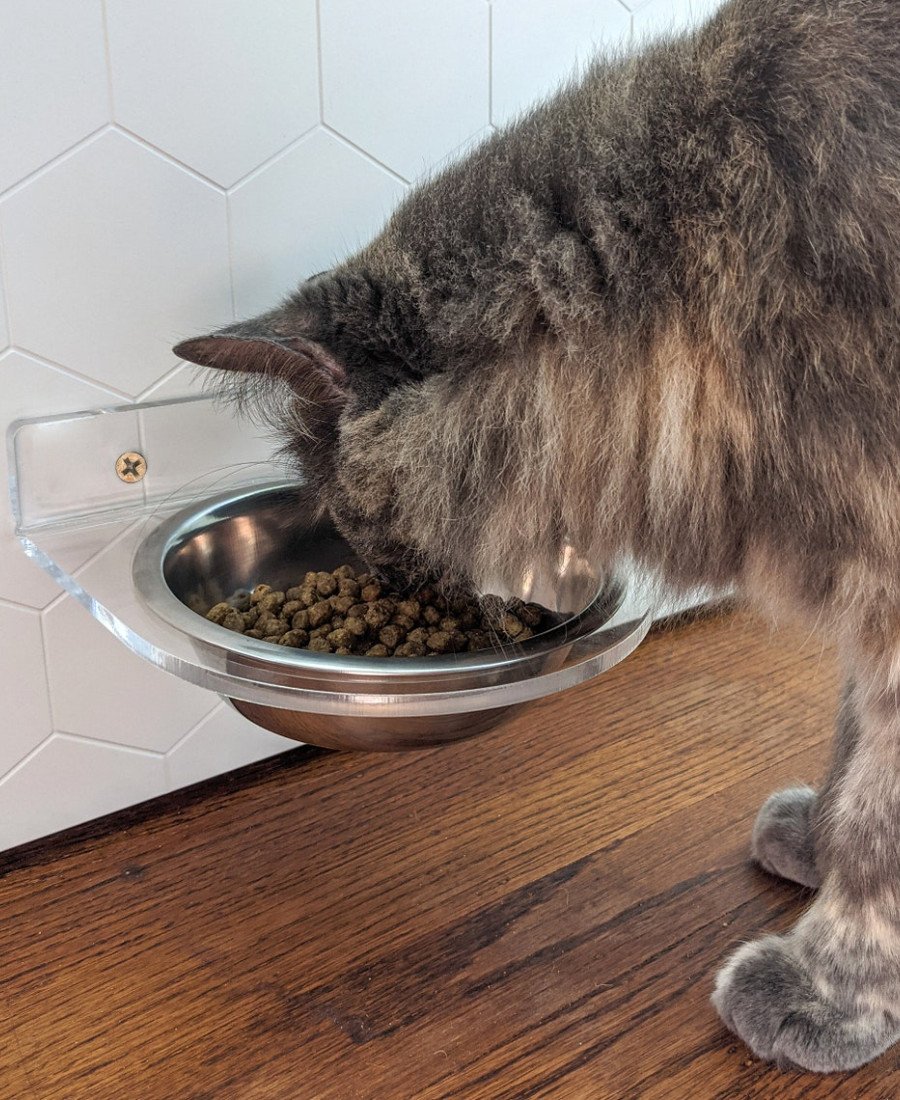 Şeffaf Pleksi Tek Kaseli Duvara Sabitlenen Mama Kabı 