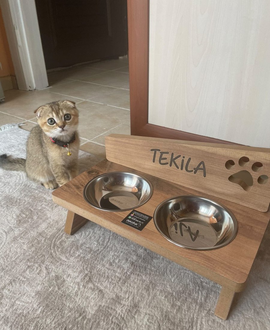 MDF Ahşap Mama Kabı İsme Özel Çelik Kaseli