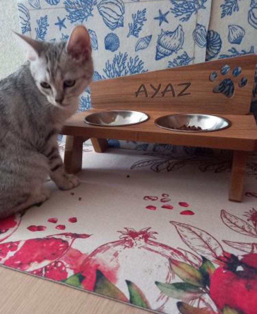 MDF Ahşap Mama Kabı İsme Özel Çelik Kaseli