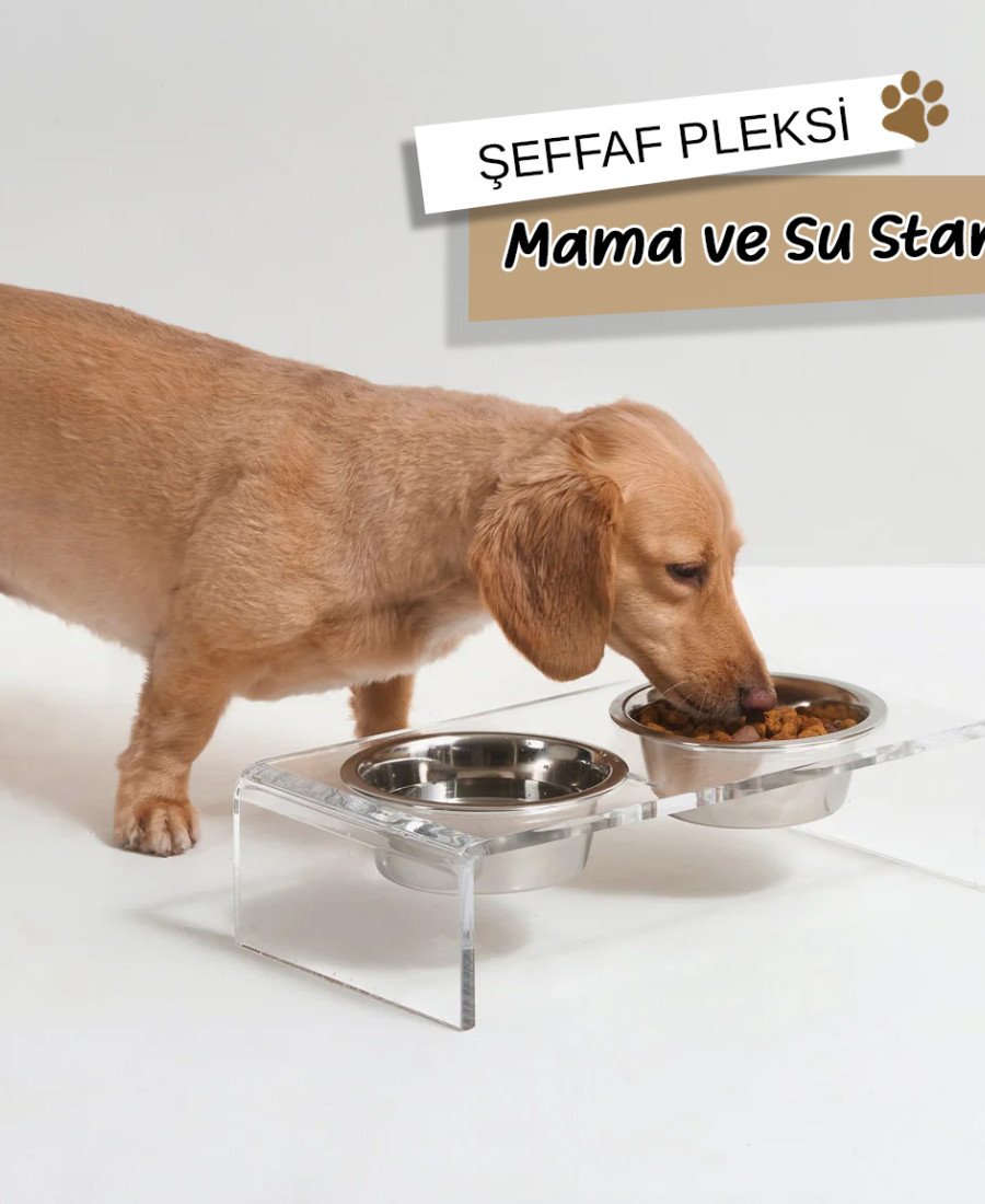 Çelik Kaseli Şeffaf Pleksi Mama Standı