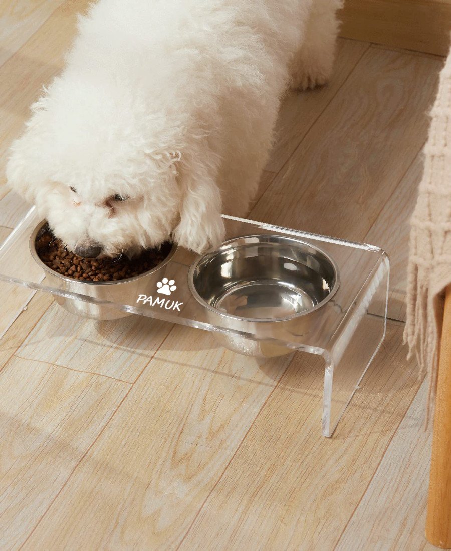 Çelik Kaseli Şeffaf Pleksi Mama Standı