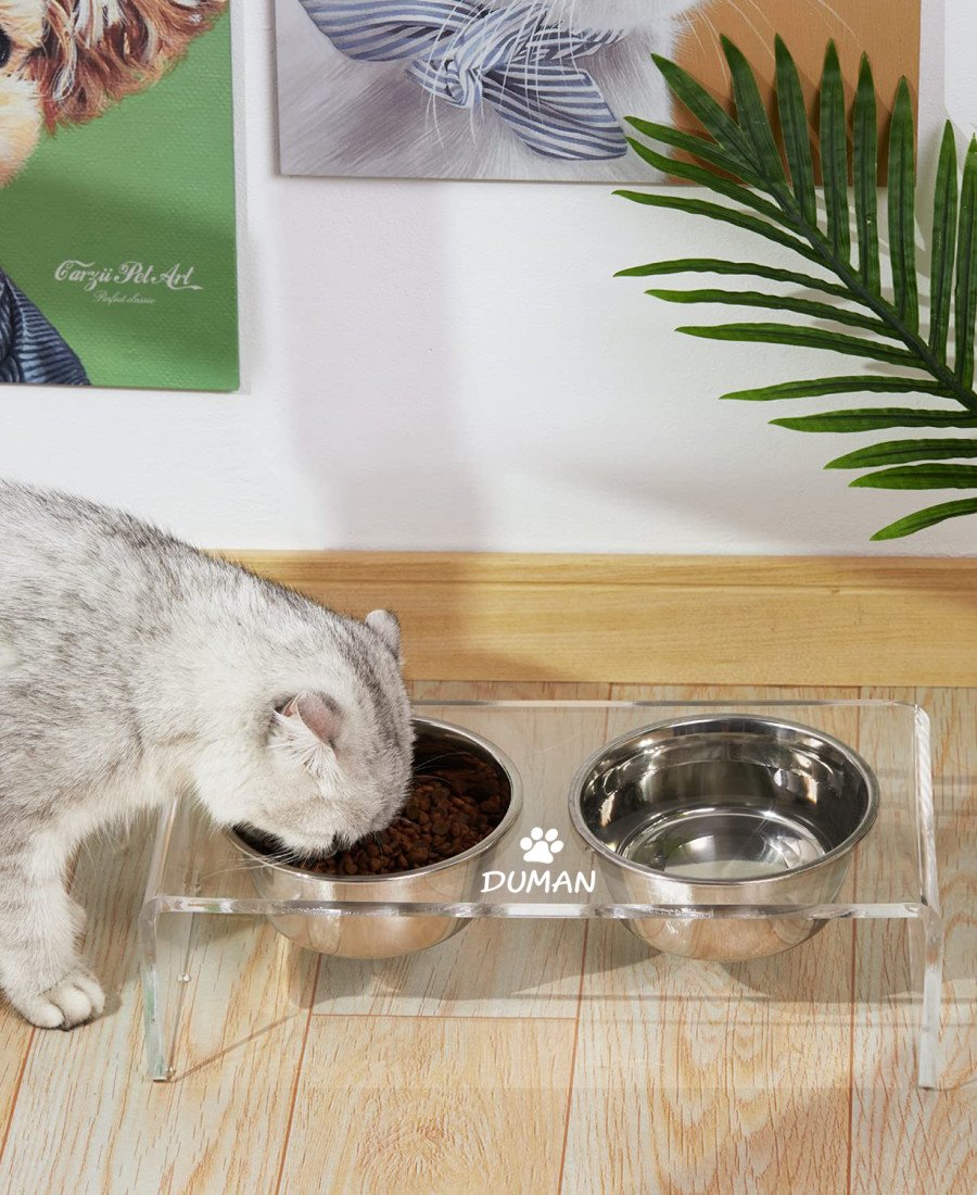 Çelik Kaseli Şeffaf Pleksi Mama Standı