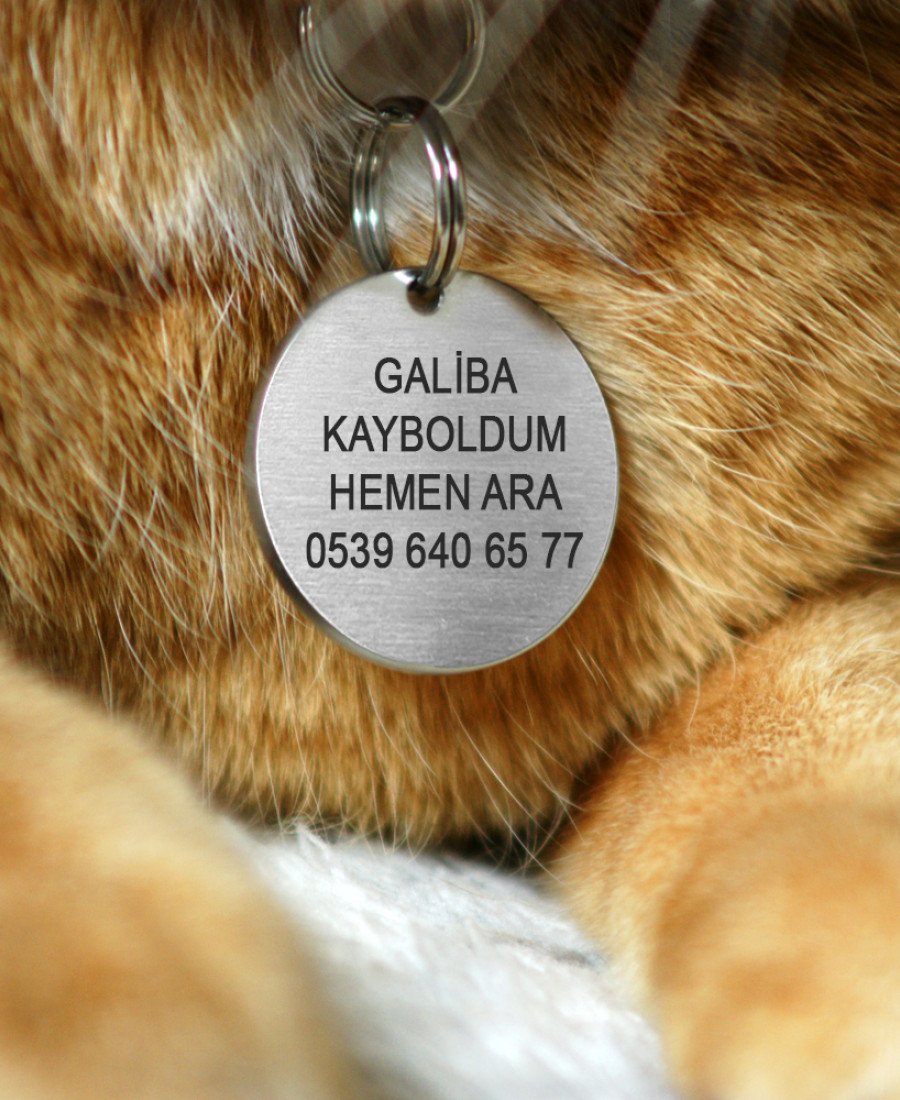 Yuvarlak Metal Kedi Köpek Künyesi Paslanmaz Çelik 02