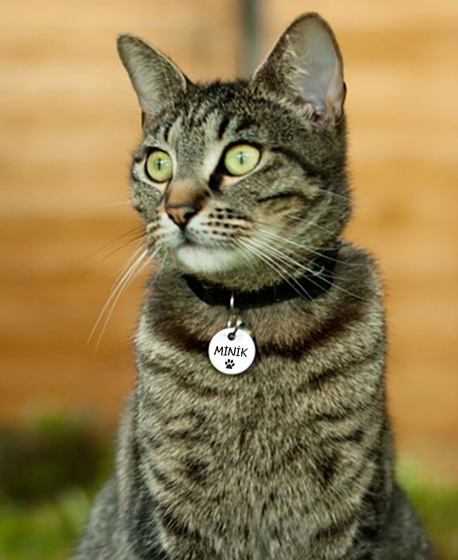 Yuvarlak Metal Kedi Köpek Künyesi Paslanmaz Çelik 02