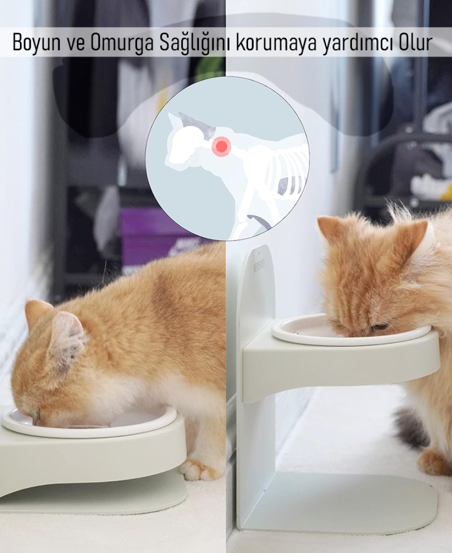 Ayarlanabilir Metal Mama Standı Beyaz Seramik Kase