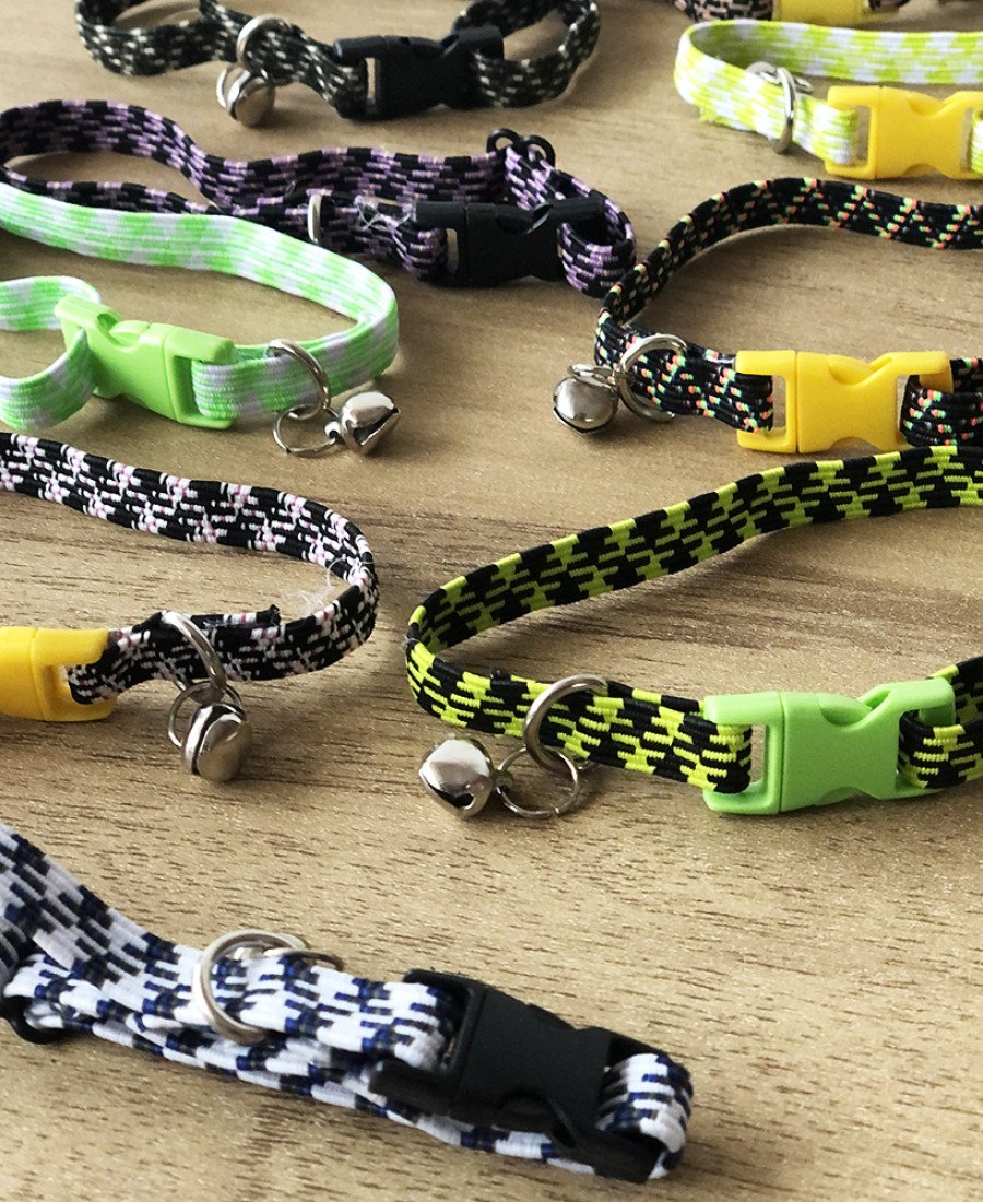 10LU PAKET ELASTİK KEDİ TASMASI RENKLİ