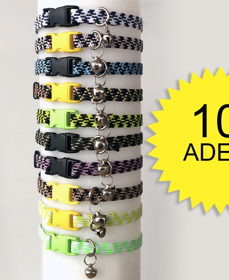 10LU PAKET ELASTİK KEDİ TASMASI RENKLİ
