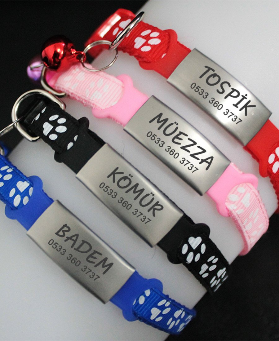 Silikon Aparatlı Metal İsimlikli Tasma ve İsimlik 