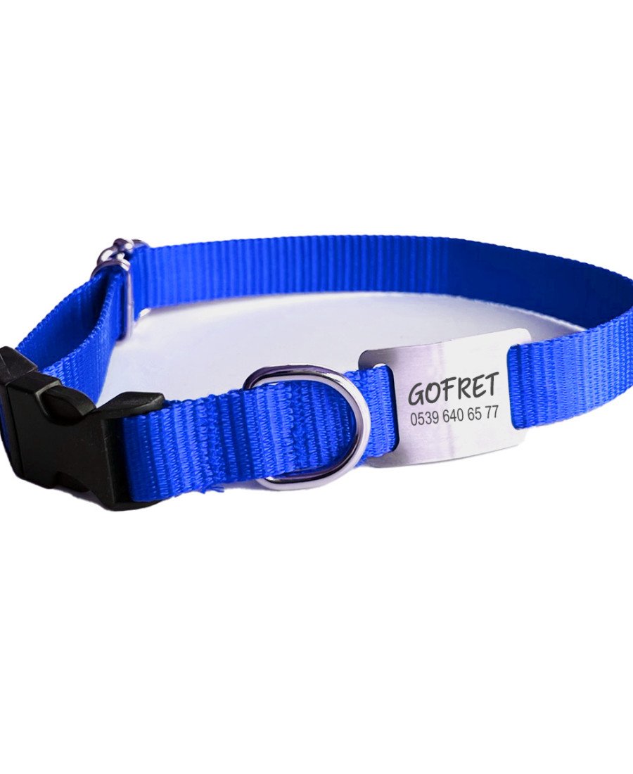 İsimlikli Mavi Küçük Orta Irk Köpek Tasması 21-35 cm
