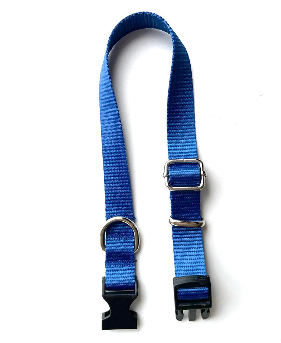 İsimlikli Mavi Küçük Orta Irk Köpek Tasması 21-35 cm