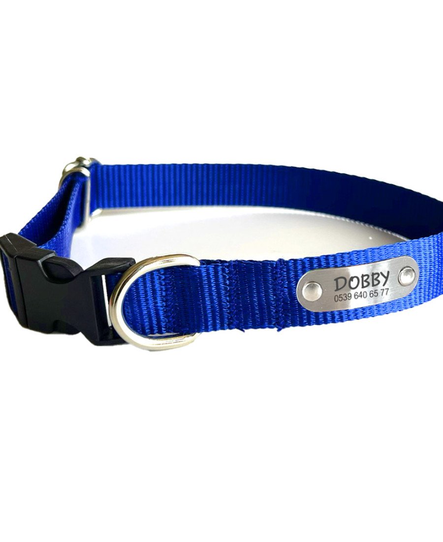 Sabit İsimlikli Mavi Küçük Orta Irk Köpek Tasması 21-35 cm