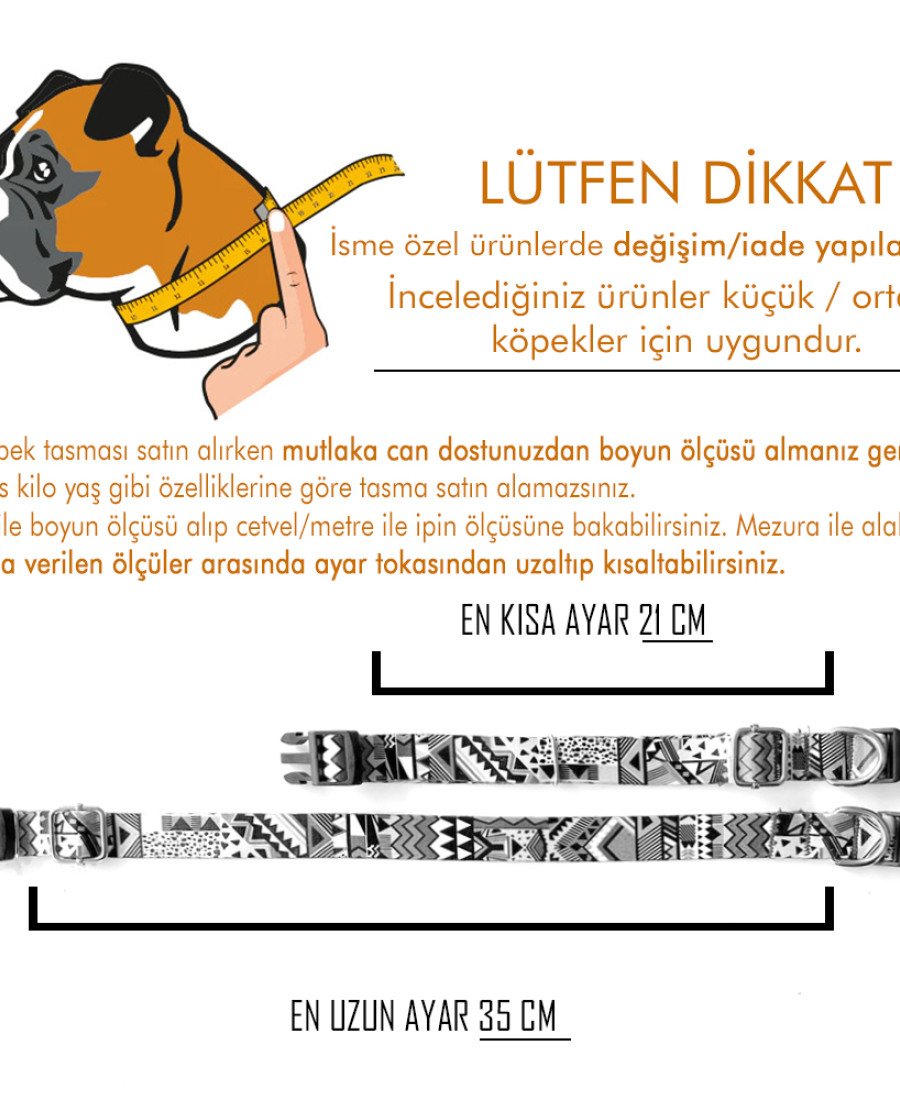 İsimlikli Mavi Küçük Orta Irk Köpek Tasması 21-35 cm