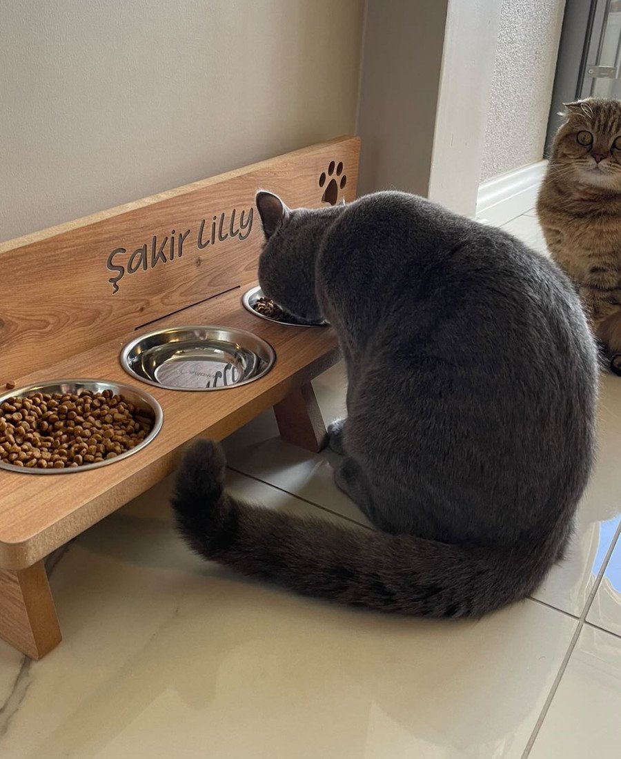 MDF Ahşap Dört Kaseli Mama Kabı 7444