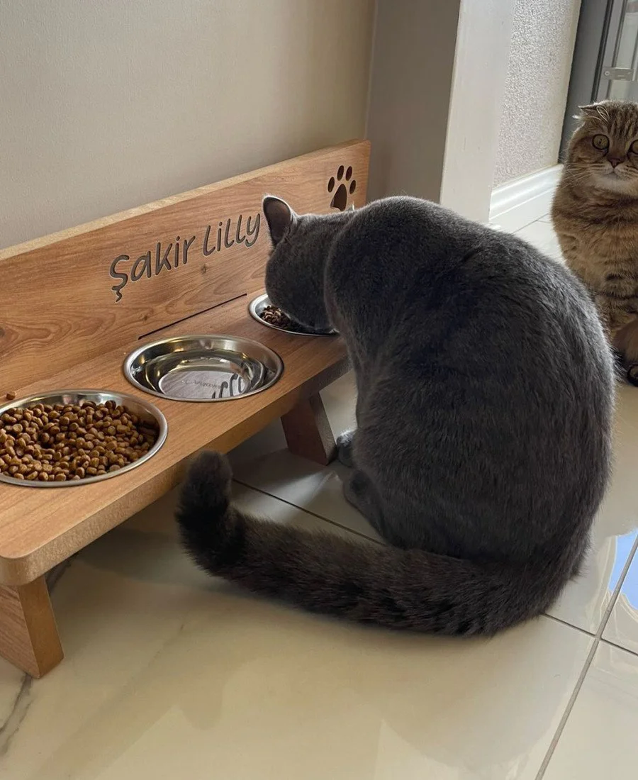 MDF Ahşap Dört Kaseli Mama Kabı 7444 MDF Ahşap Dört Kaseli Mama Kabı 7444