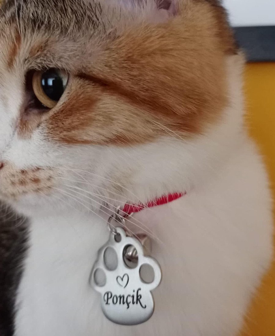 Pati Metal Kedi Köpek Künyesi Paslanmaz Çelik