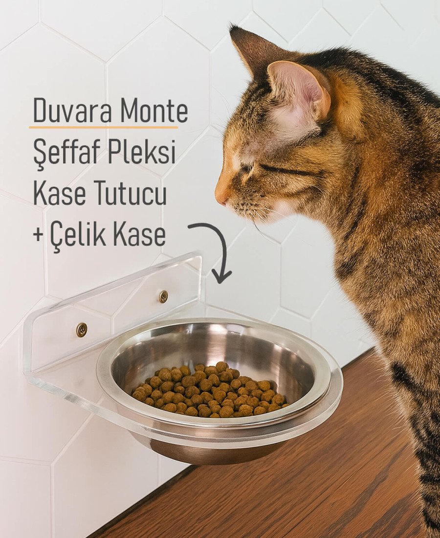 Şeffaf Pleksi Tek Kaseli Duvara Sabitlenen Mama Kabı 