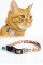 Safety Click Kemik Desenli Baskılı Kedi Tasması Metal Künyeli