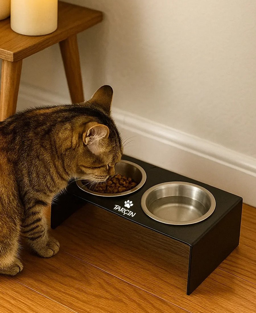 Düz Ayak Metal Mama Kabı Mat Siyah Çelik Kaseli