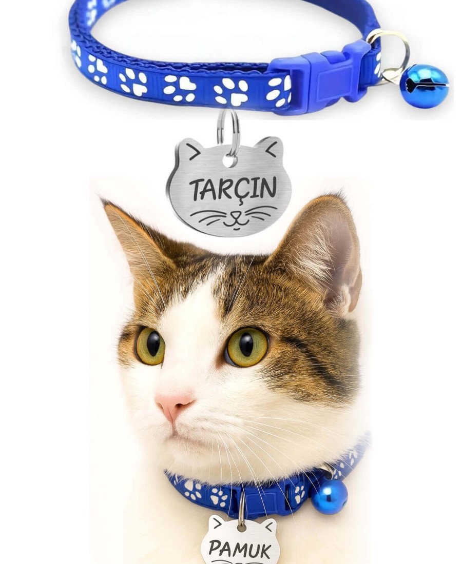 Kediler İçin Metal Künye ve Mavi Tasma