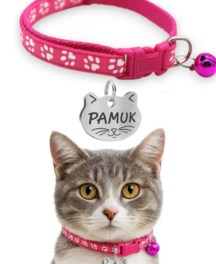 Kediler İçin Metal Künye ve Pembe Tasma