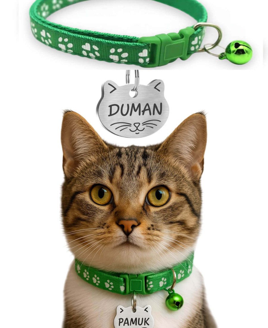 Kediler İçin Metal Künye ve Yeşil Tasma