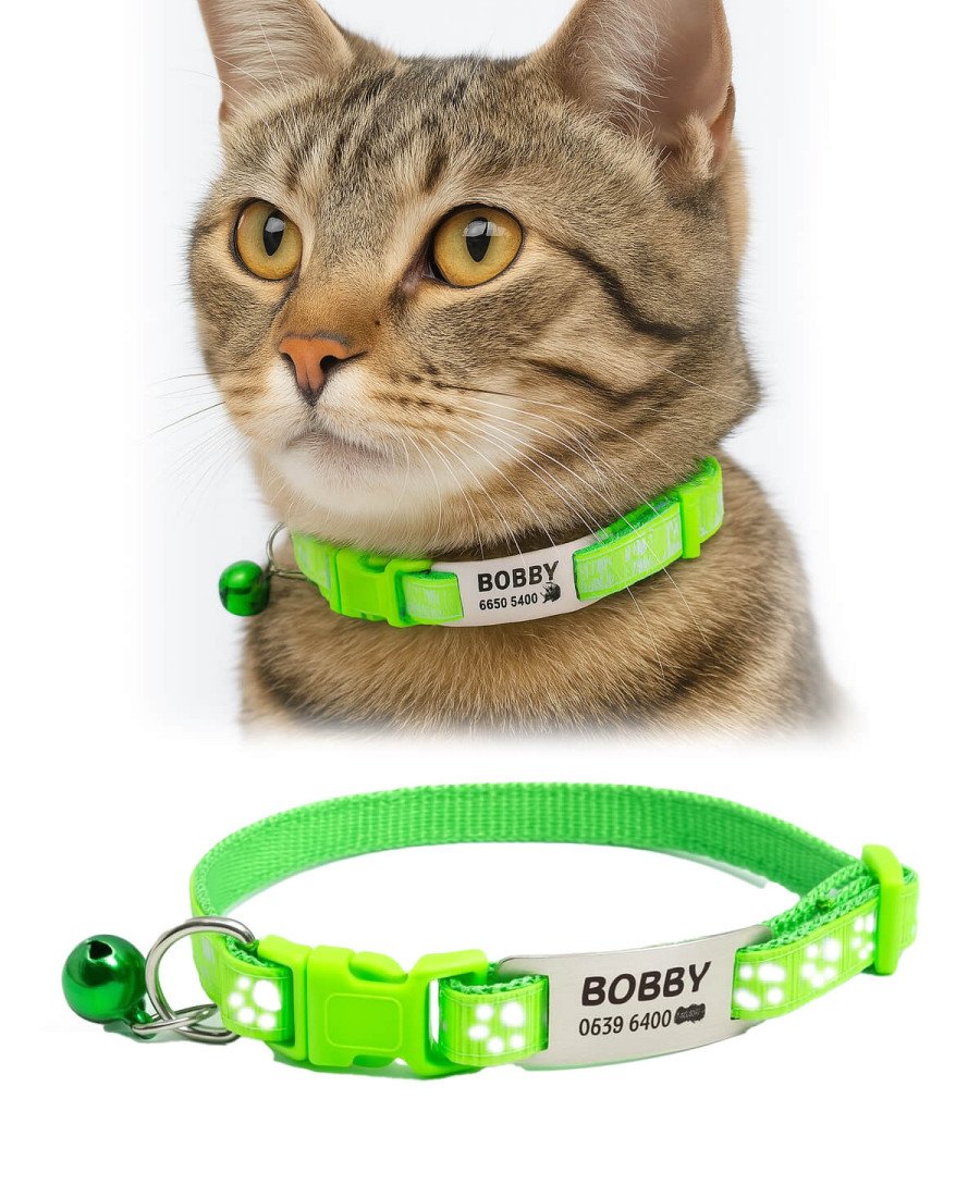 Açık Yeşil Kediler İçin Metal Künye ve Tasma Sallanmayan Tasma