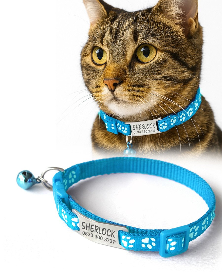 Açık Mavi Kediler İçin Metal Künye ve Tasma Sallanmayan Tasma