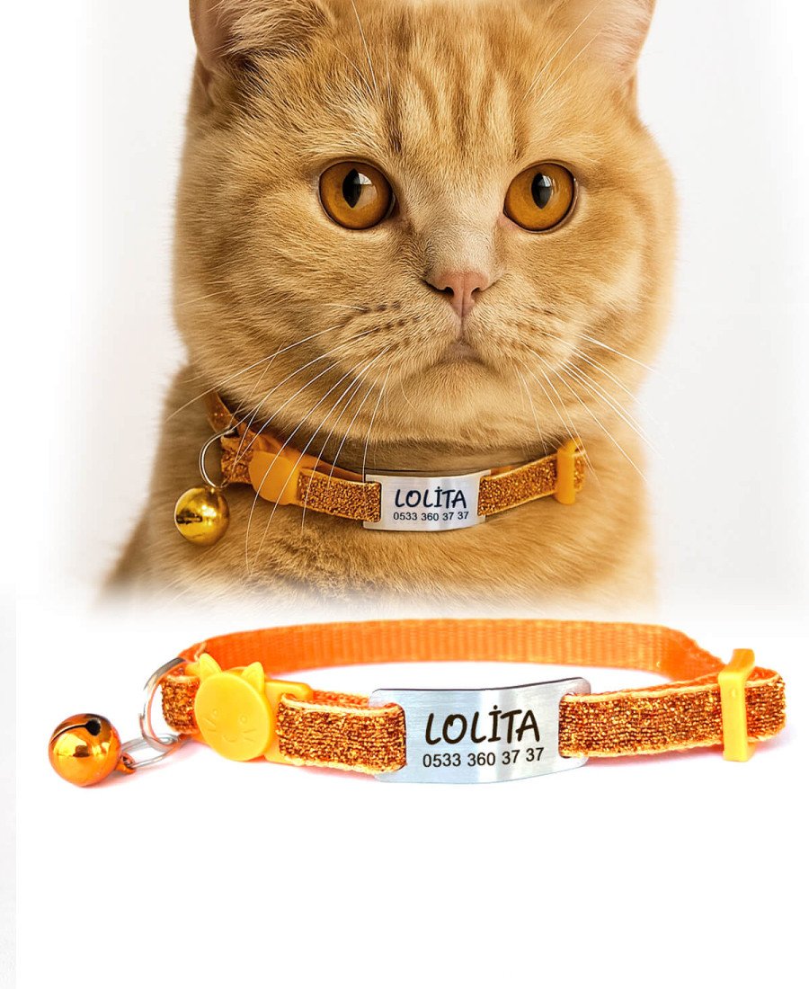 Safety Click Turuncu Sim Desenli Sallanmayan Tasma Künye