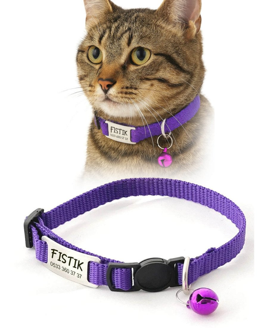 Düz Mor Safety Click Tasma İsimlikli Güvenlik Kilitli Sallanmayan Tasma 