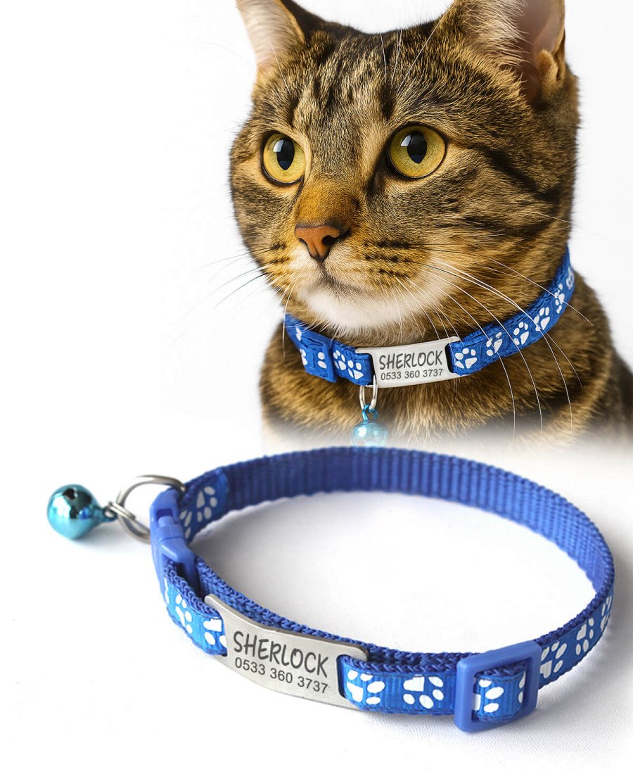 Kediler İçin Metal Künye ve Mavi Tasma Sallanmayan Tasma