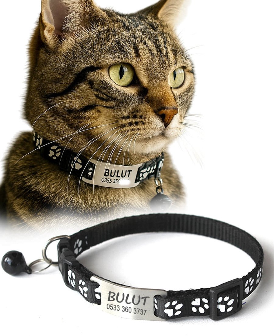 Kediler İçin Metal Künye ve Siyah Tasma Sallanmayan Tasma