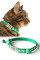 Kediler İçin Metal Künye ve Yeşil Tasma Sallanmayan Tasma