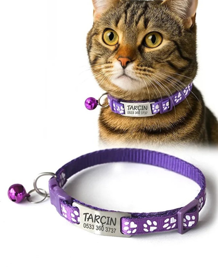 Kediler İçin Metal Künye ve Mor Tasma Sallanmayan Tasma