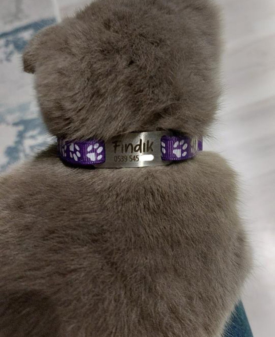 Kediler İçin Metal Künye ve Mor Tasma Sallanmayan Tasma