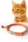 Kediler İçin Metal Künye ve Turuncu Tasma Sallanmayan Tasma