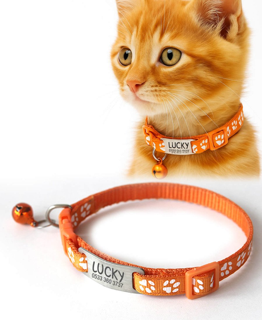 Kediler İçin Metal Künye ve Turuncu Tasma Sallanmayan Tasma
