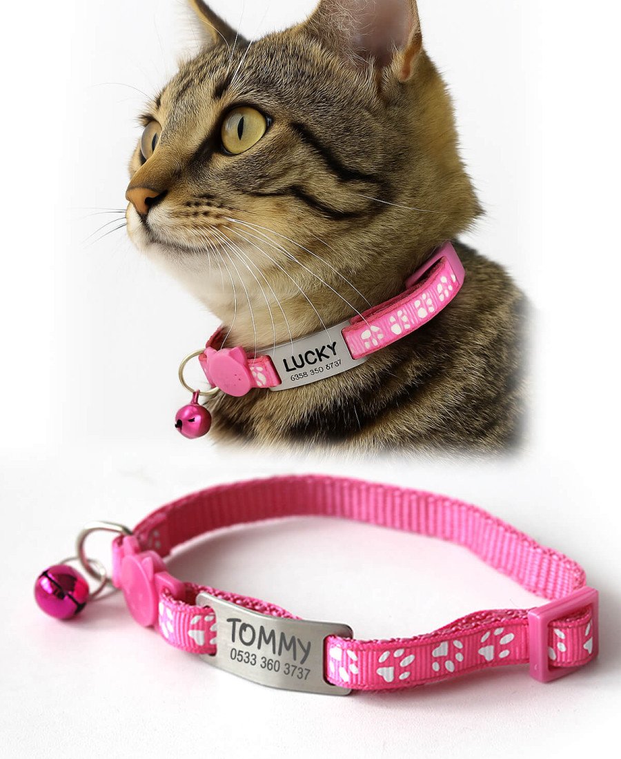 Kediler İçin Metal Künye ve Pembe Tasma Sallanmayan Tasma