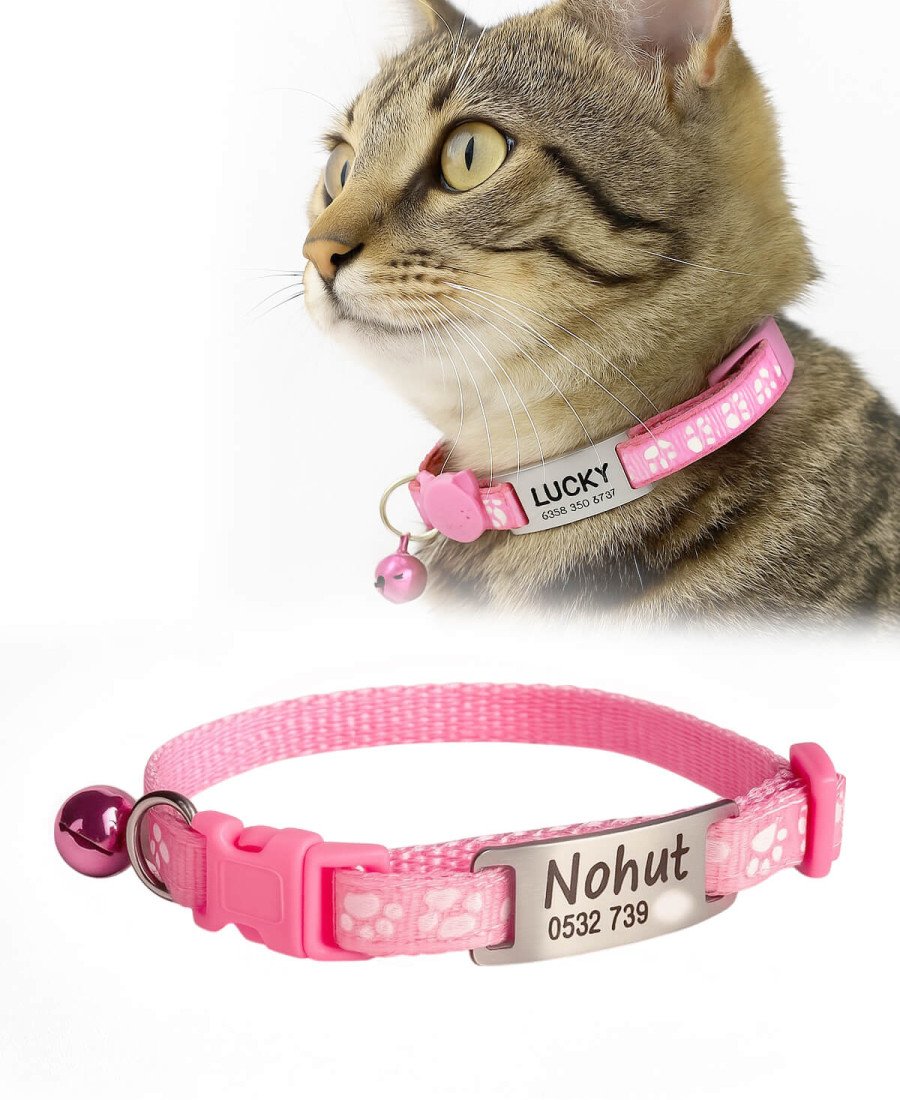 Kediler İçin Metal Künye ve Açık Pembe Tasma Sallanmayan Tasma