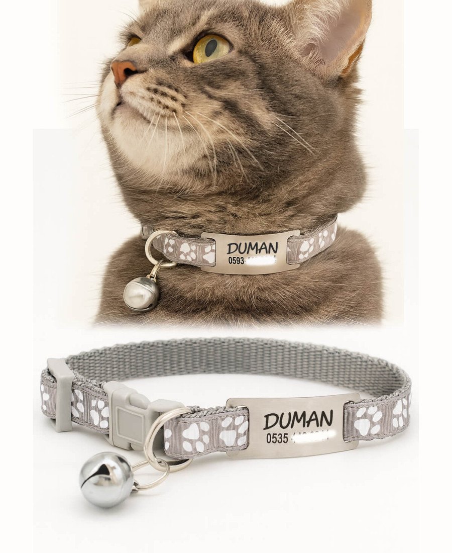 Gri Renk Kediler İçin Metal Künye ve Tasma Sallanmayan Tasma