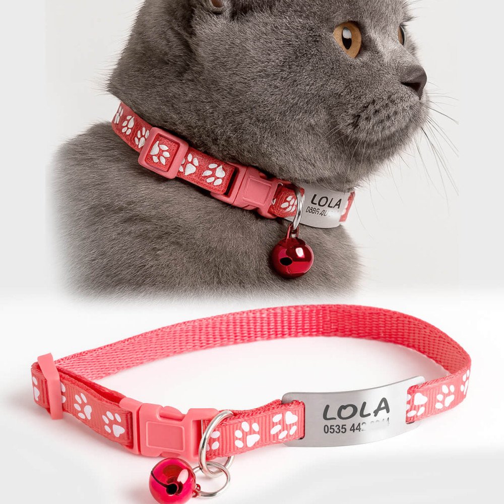 Gül Kurusu Kediler İçin Metal Künye ve Tasma Sallanmayan Tasma