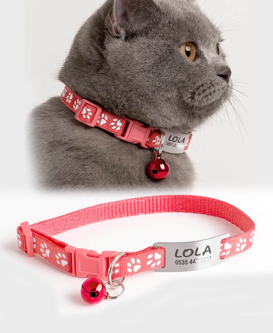 Gül Kurusu Kediler İçin Metal Künye ve Tasma Sallanmayan Tasma