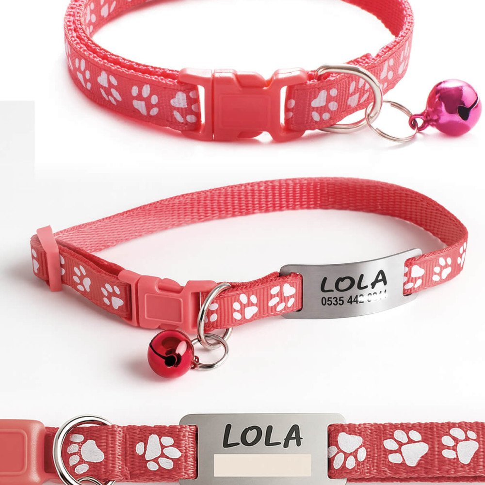 Gül Kurusu Kediler İçin Metal Künye ve Tasma Sallanmayan Tasma