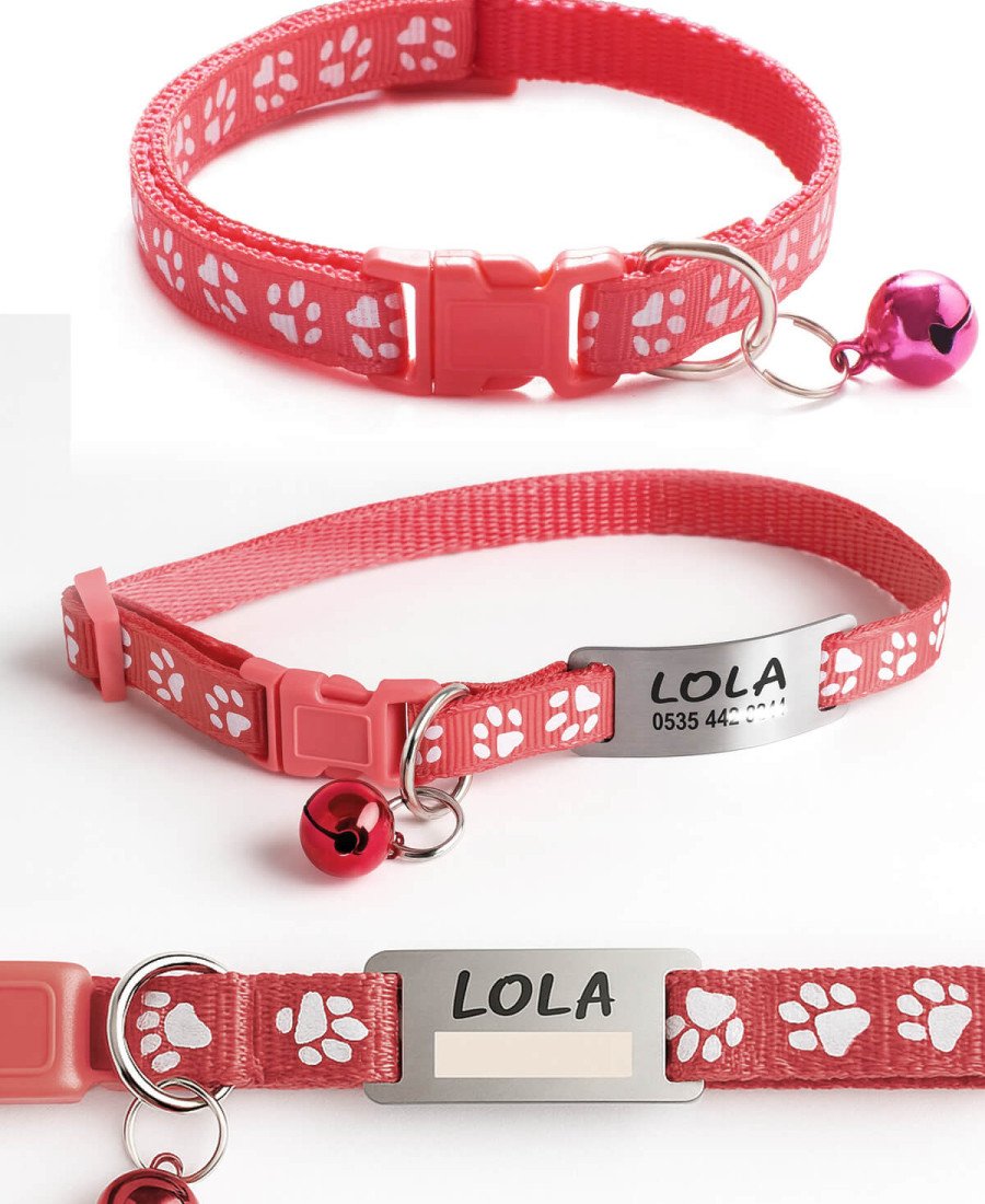 Gül Kurusu Kediler İçin Metal Künye ve Tasma Sallanmayan Tasma