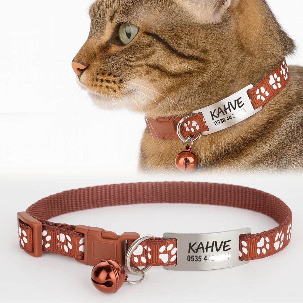 Kahverengi Kediler İçin Metal Künye ve Tasma Sallanmayan Tasma