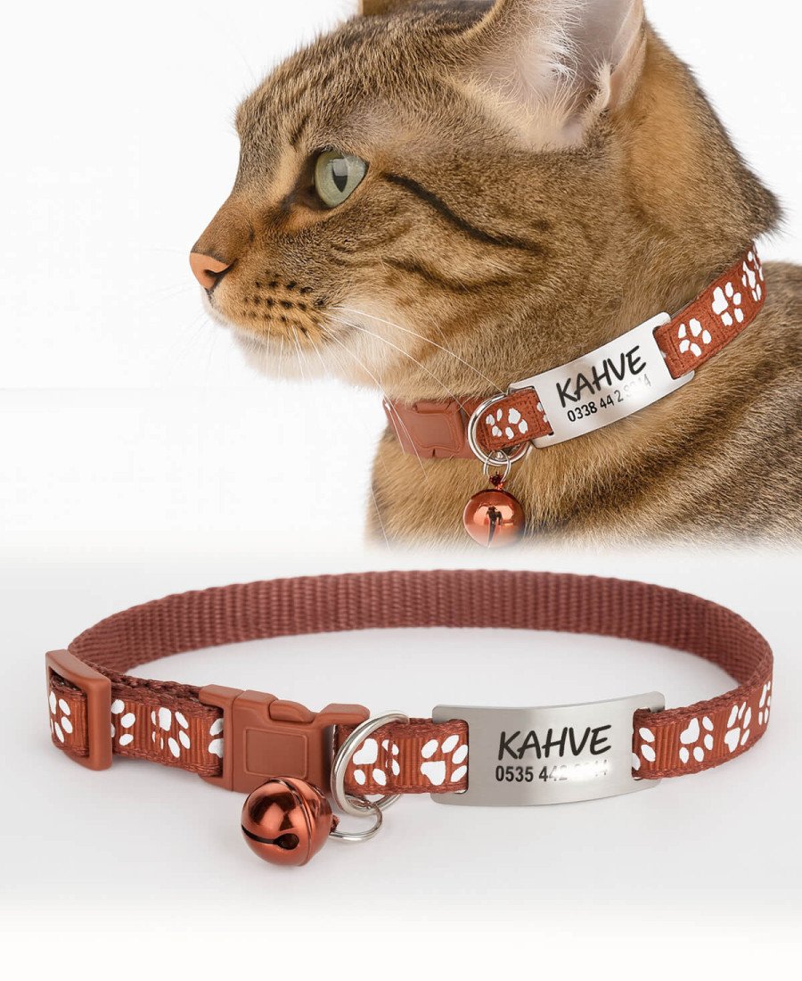 Kahverengi Kediler İçin Metal Künye ve Tasma Sallanmayan Tasma