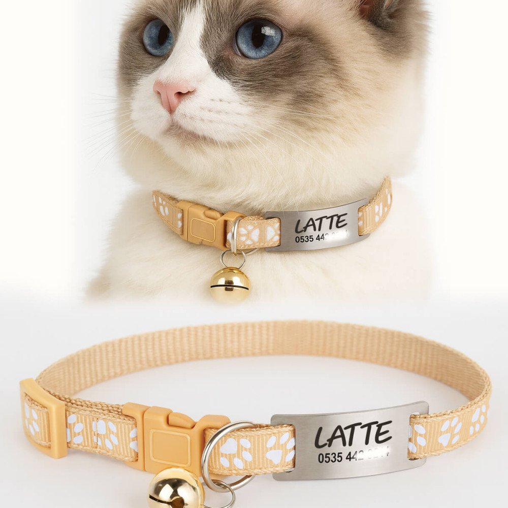Krem Kediler İçin Metal Künye ve Tasma Sallanmayan Tasma