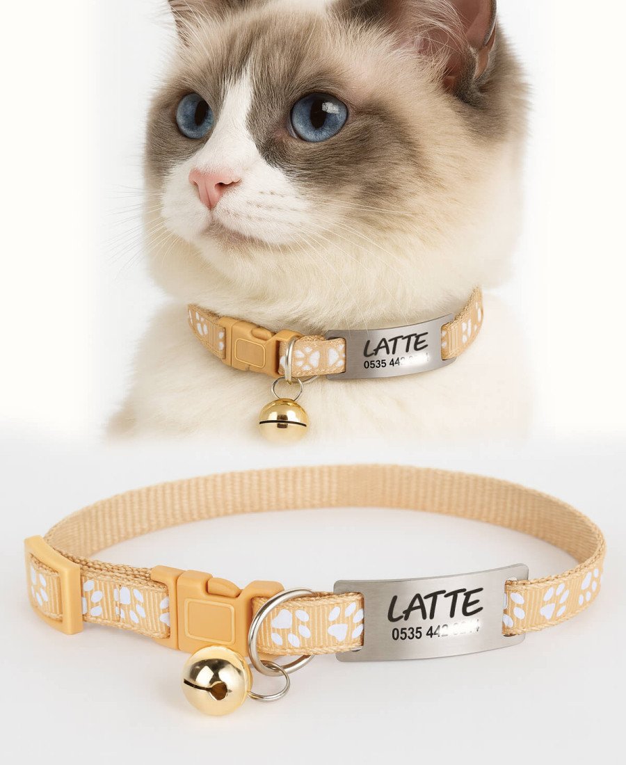 Krem Kediler İçin Metal Künye ve Tasma Sallanmayan Tasma