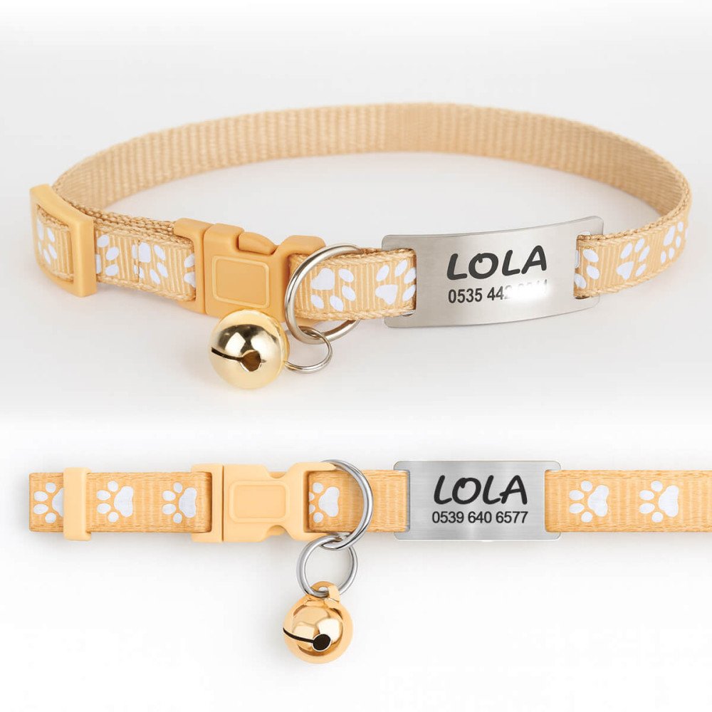 Krem Kediler İçin Metal Künye ve Tasma Sallanmayan Tasma